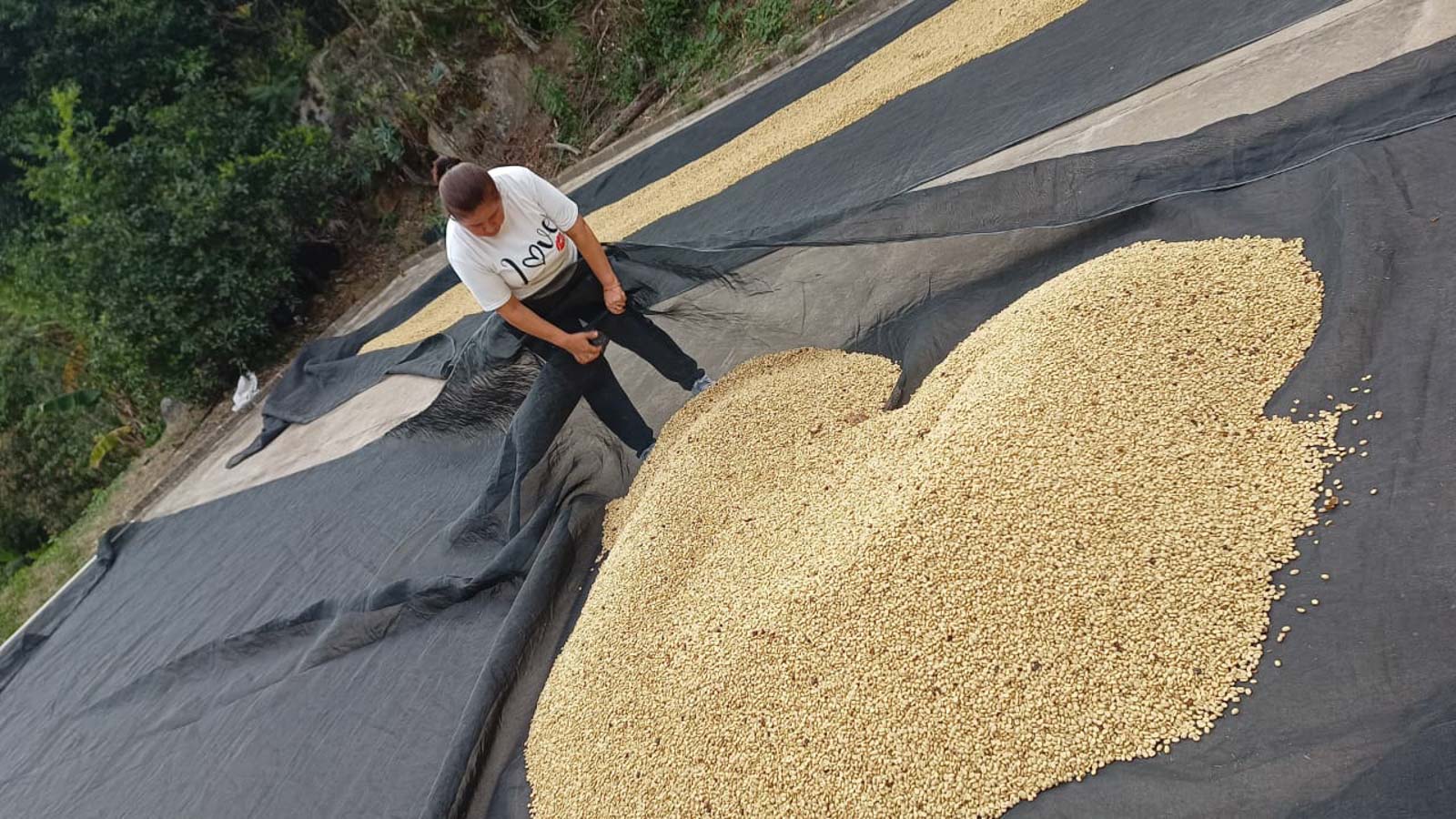 2ND-PLACE-Gema-Magali-Posadas-Manzano-COE-Mexico-2025-PARCHMENT