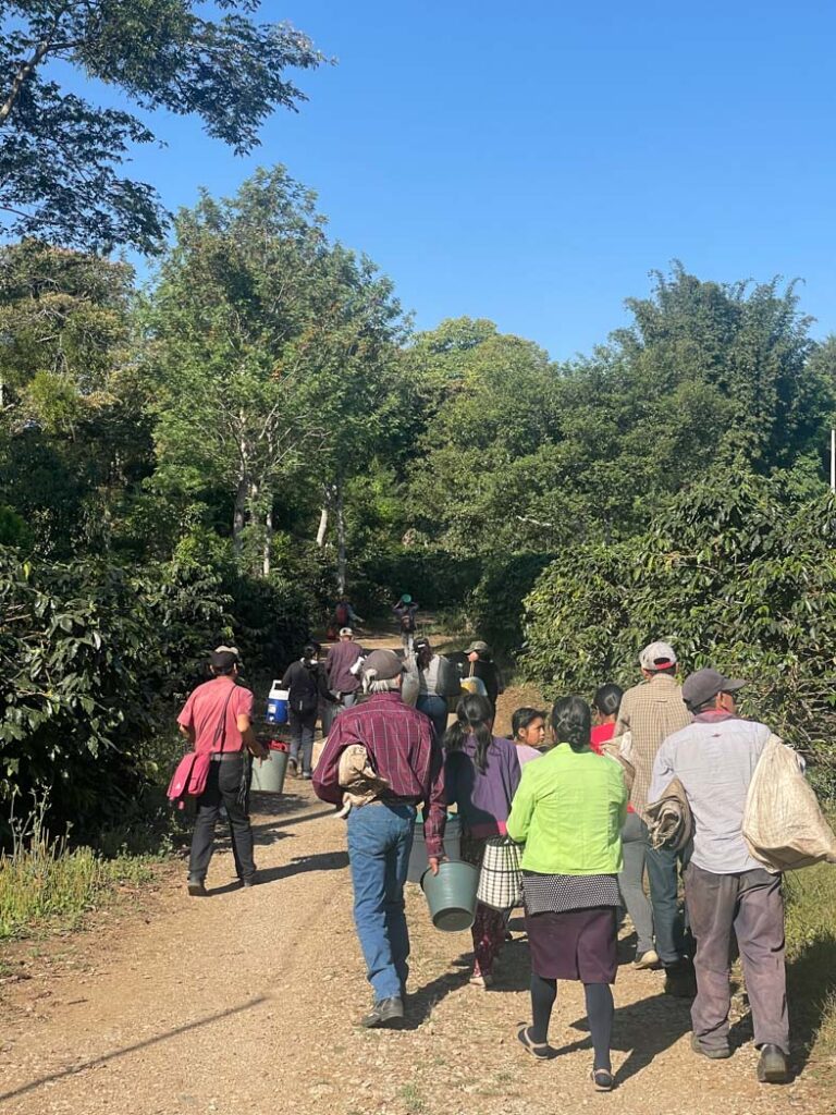 2ND-PLACE-Helina-Tress-Marin-COE-Mexico-2025-working-team