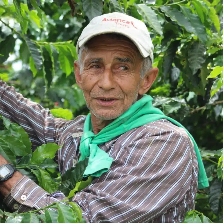 Award Winning Coffee Producer Vergel Estate Colombia