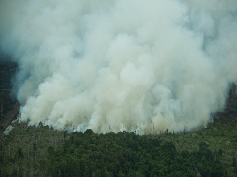 Burning Large Scale II