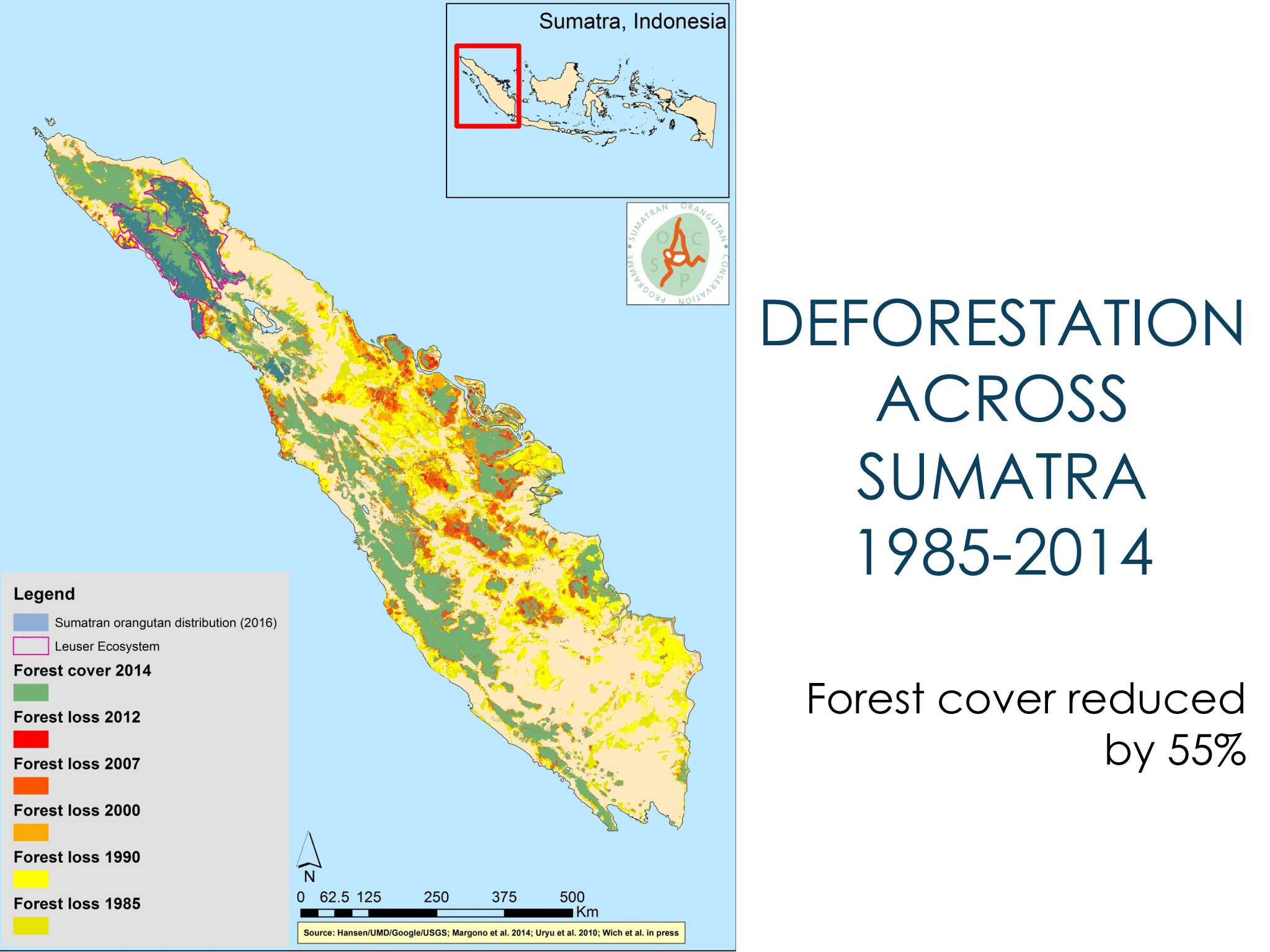 Deforestation across Sumatra