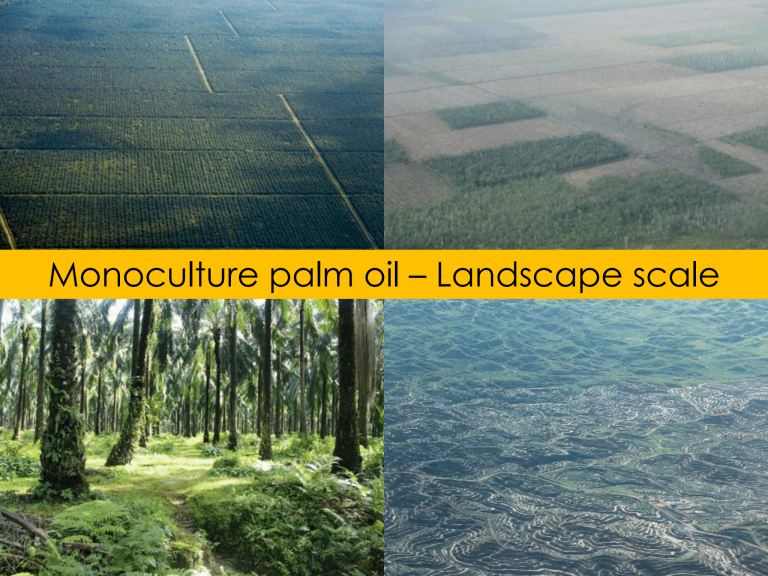 Monoculture Landscape