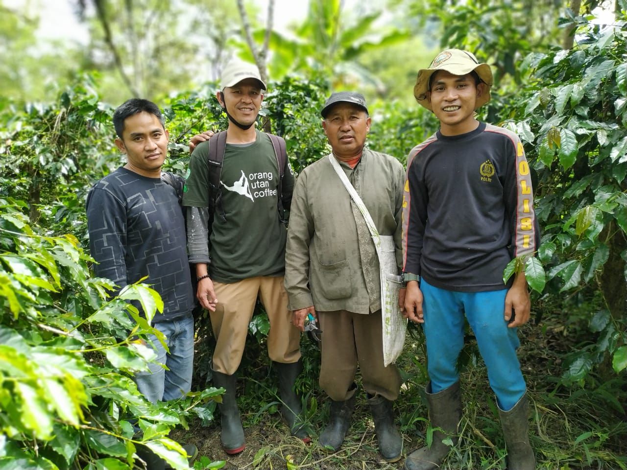Orangutan Gayo Star Highland Sumatra Coffee Farmers