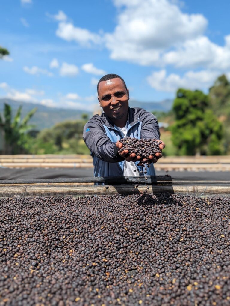 Basha Bekele Cafe Kreyol Sweet Lily Ethiopia