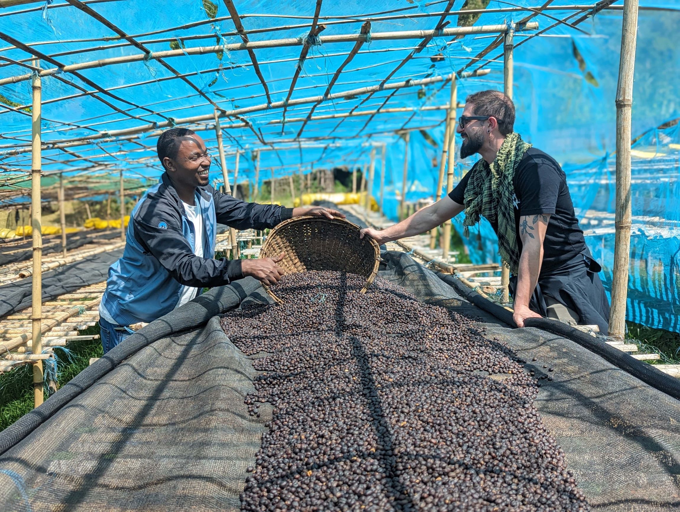 Basha Bekele Ethiopia Sweet Lily Cafe Kreyol