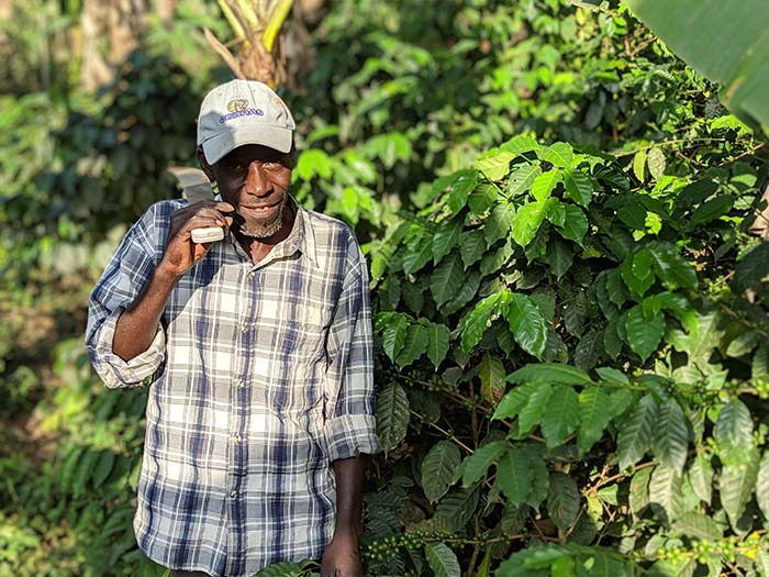 cafe kreyol organic coffee farmers COOPACVOD haiti 02